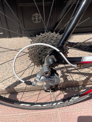 Bicicleta de carbono Ridley