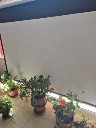 Proyector LG PF80 Full HD Completo