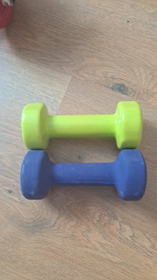 2 Pesas de 2 kg cada una