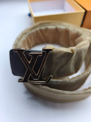Cintura Louis Vuitton Nero, Grigio e Oro