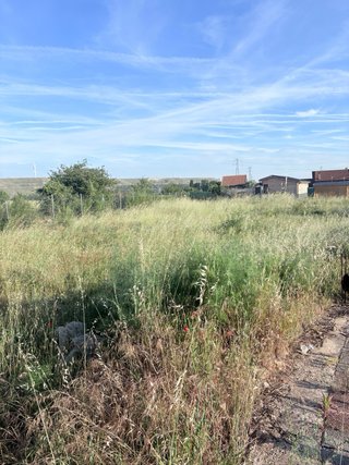 Finca urbanizable con agua y luz metida