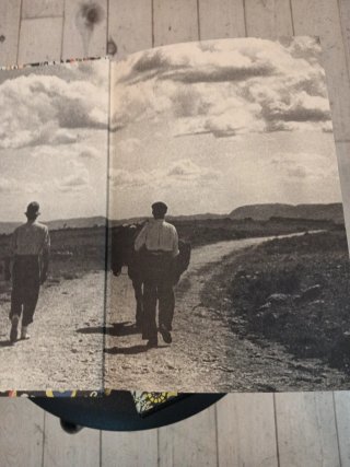 Viaje a la Alcarria