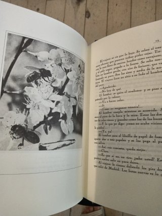 Viaje a la Alcarria