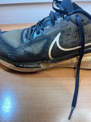 Nike Vomero 17 Negras Talla 42