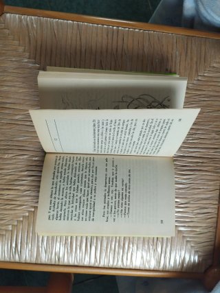 El libro de Merlín