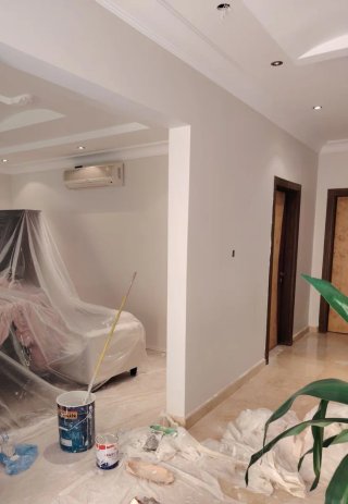 Pintor profesional - Alisados de paredes