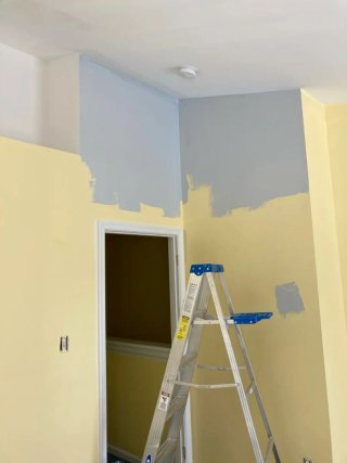 Pintor profesional - Alisados de paredes