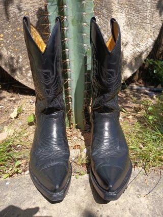 Botas Sendra Cuervo Flora Negras