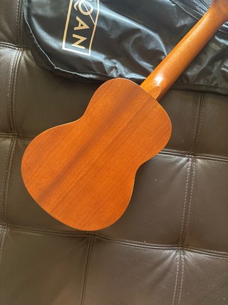 Ukelele AqOAN con funda