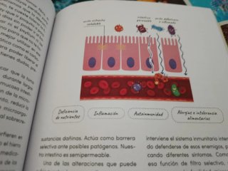 Dime qué comes y te diré qué bacterias tienes: ...