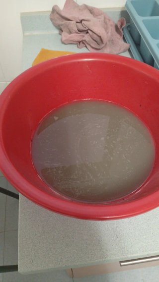 Limpieza del hogar