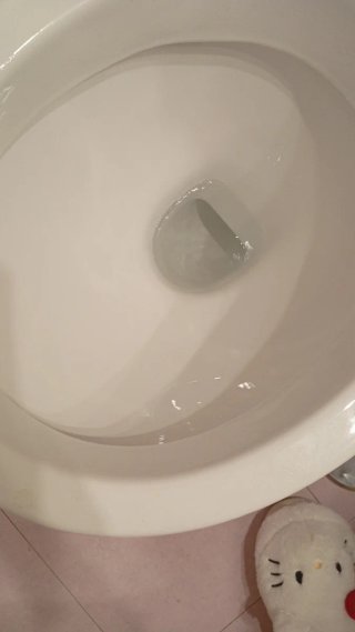 Limpieza del hogar