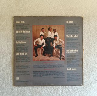 The Temptations - Surface Thrills LP