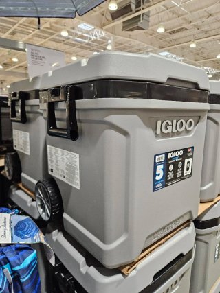 Nevera Igloo Maxcold Latitude 62 QT