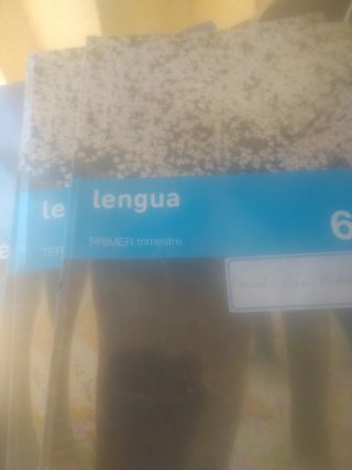3 libros Lengua 6 primaria SM savia1/2y tercer tri