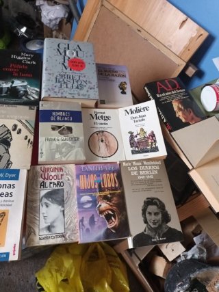 Lote de libros