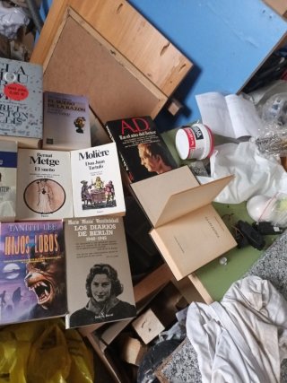 Lote de libros