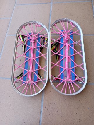 Raquetas de nieve