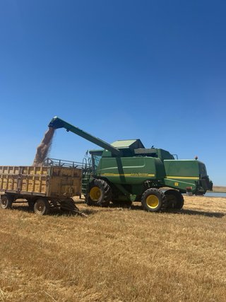 Cosechadora John Deere 9560 CWS