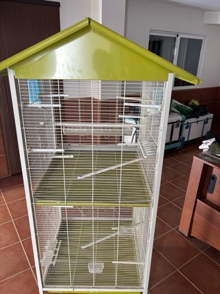 Jaula Voladera para Canarios