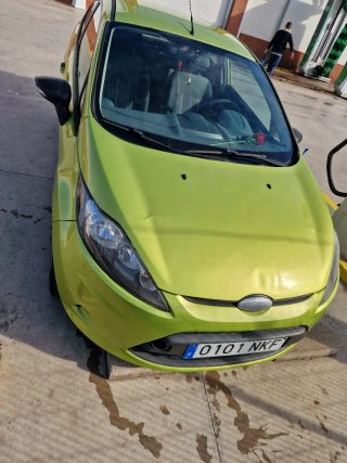 Ford Fiesta 2010