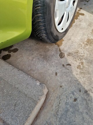 Ford Fiesta 2010