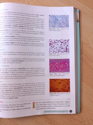 Biología, Geología y CC. Ambientales-1º Bachiller