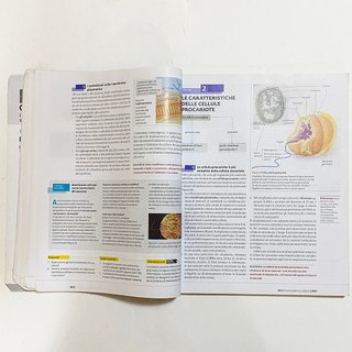 Condividi La nuova biologia.blu PLUS Sadava Hillis
