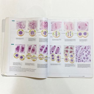 Condividi La nuova biologia.blu PLUS Sadava Hillis
