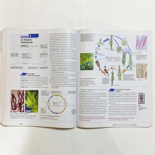 Condividi La nuova biologia.blu PLUS Sadava Hillis