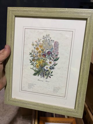4 Cuadros Flores Amarillas y Marco Azul