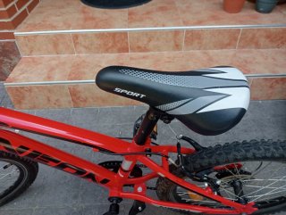 Bicicleta Neon 20 pulgadas
