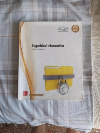 Seguridad informática