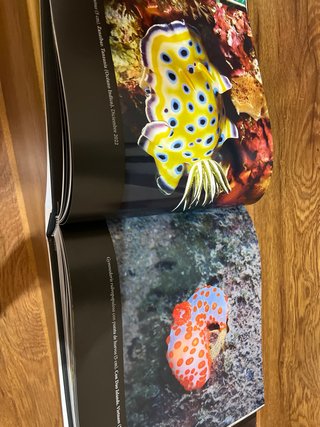 Lote 2 libros EL MUNDO SUBMARINO Los dos juntos 30