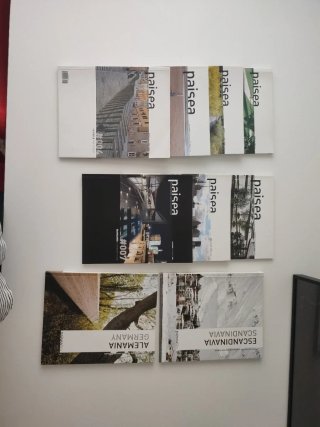 Lote revistas Paisea