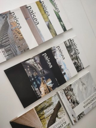 Lote revistas Paisea