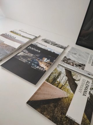 Lote revistas Paisea