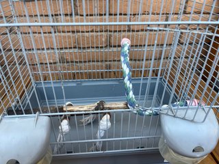Jaula para pájaros