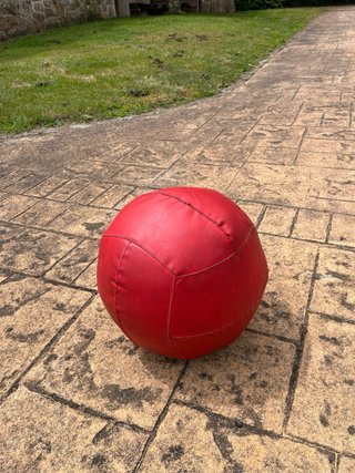 Balón Medicinal Singular WOD 30 lb