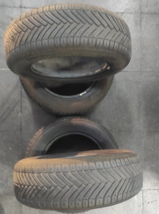 Neumáticos Michelin crossClimate  DEMO