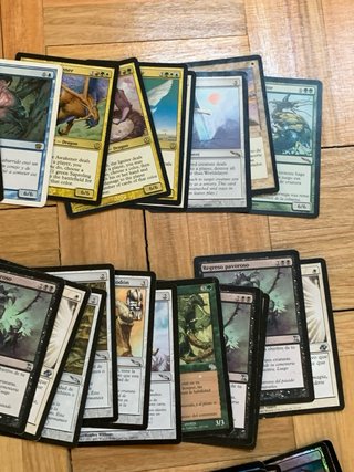 Lotto di 300+ carte Magic The Gathering