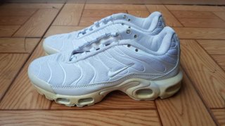 Zapatillas Nike Air Max TN o cambio
