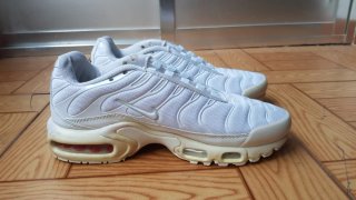 Zapatillas Nike Air Max TN o cambio