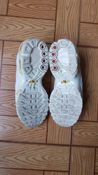 Zapatillas Nike Air Max TN o cambio