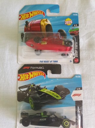 Lotto di 13 Hot Wheels Basici Vari Modelli!!!