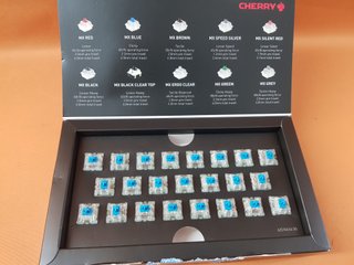 Cherry MX Blue RGB Switches (23uds)