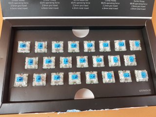 Cherry MX Blue RGB Switches (23uds)