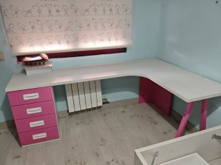 Cama tren con escritorio