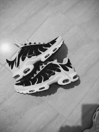 Zapatillas Nike Air Max TN Negras y Blancas