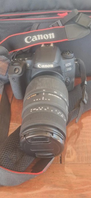Canon EOS Cámara DSLR con Lentes y Flash